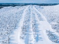 Aerial view of snow covered forest and ski resort slope in winter Finland Lapland