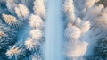 Aerial View of Snow-Covered Trees and a Path Through a Winter Forest Royalty Free Stock Photo