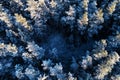 Aerial view of snowy boreal coniferous forest with frosty pine and spruce in Estonian nature