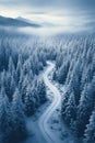 Aerial view of snowy frozen road in forest in winter. Landscape of white blue woods with snow, sky and trees. Concept of nature, Royalty Free Stock Photo