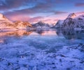 Aerial view of snowy mountains, blue sea with frosty coast