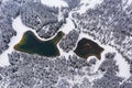 Aerial view of a snowy pine forest and green lake.