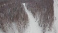 Aerial view of snowy pine trees and a little meandering stream. Clip. Aerial view of winter forest covered in snow Royalty Free Stock Photo