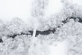 Aerial view of snowy trees and a little curvy winding stream. . Christmas, winter time, first snow