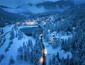 Aerial view of snowy village, trees, lake, street lights at night Royalty Free Stock Photo