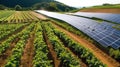 Aerial view of solar panels on a vineyard in South Korea. Generative AI