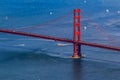 Aerial view of the South tower of Golden Gate Bridge and yachts on the bay, fly over San Francisco, USA Royalty Free Stock Photo