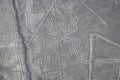 Aerial View of the Spider Nazca Lines Royalty Free Stock Photo