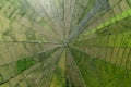 Aerial view of Spider net paddy field located in Meler village, Ruteng, Flores, Indonesia