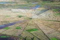 Aerial view spiders web shaped rice fields