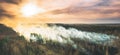 Aerial View. Spring Dry Forest Burns During Drought Hot Weather. Bush Fire And Smoke During Sunset. Wild Open Fire Royalty Free Stock Photo