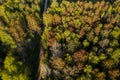 Aerial view of spring forest with new leaves on deciduous trees