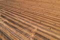 Aerial view of square hay bales in field after harvest Royalty Free Stock Photo