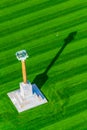 aerial view of the statue of Romulus, Remus and Capitoline wolf in the italian city Pisa...IMAGE Royalty Free Stock Photo