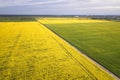 Aerial view of straight ground road in green and yellow fields with blooming rapeseed plants on sunny spring or summer day. Drone Royalty Free Stock Photo