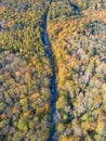 Aerial view of a straight road between the colorful forest in autumn Royalty Free Stock Photo