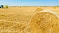 Aerial view of straw bale on farm field