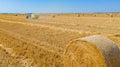 Aerial view of straw bale on farm field