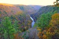 The aerial view of the striking colors of fall foliage and the river near Grand Canyon of Pennsylvania, U.S Royalty Free Stock Photo