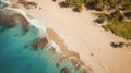 Aerial View Of Stunning Beach And Sand With Coconut Trees