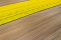 Aerial view of summer fields. Yellow fields from above. Photo captured with drone