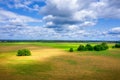 Aerial view on summer nature landscape. Beautiful grassy land under blue sky with white clouds Royalty Free Stock Photo