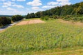 Aerial view of a sunflower field in the Wetterau / Germany Royalty Free Stock Photo