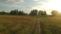 Aerial view of sunny summer road throught the