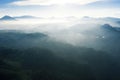 Aerial view of sunrise with tea plantation and fog Royalty Free Stock Photo