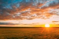 Aerial View. Sunshine At Sunrise Bright Dramatic Sky Above Agricultural Landscape With Flowering Blooming Oilseed Field Royalty Free Stock Photo