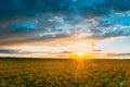 Aerial View. Sunshine At Sunrise Bright Dramatic Sky Above Agricultural Landscape With Flowering Blooming Oilseed Field Royalty Free Stock Photo