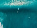 Aerial view of surfers in ocean. Top view. Surfing in tropical sea Royalty Free Stock Photo