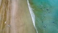 Aerial view of surfers waiting for waves off a tropical beach Royalty Free Stock Photo