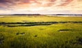 Aerial view of a swamp at sunrise Royalty Free Stock Photo