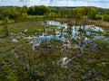 Aerial view of swamp in springtime with trees and grass, blue sky