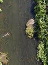 Aerial view of a swimming woman in the Uecker or Ucker river. Royalty Free Stock Photo