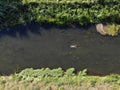 Aerial view of a swimming woman in the Uecker or Ucker river. Royalty Free Stock Photo