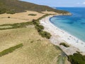 Aerial view of Tamarone beach, Plage de Tamarone, cows grazing on a grassy meadow near the sea. Corsica. France Royalty Free Stock Photo