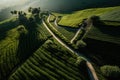 Aerial view of Tea fields. Generative AI