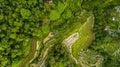 Aerial view of Tegallalang Bali rice terraces. Royalty Free Stock Photo