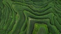 Aerial view of Tegallalang Bali rice terraces