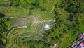 Aerial View of Tegallalang Rice Terrace, Ubud, Bali. Royalty Free Stock Photo