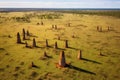 aerial view of termite mounds in a field