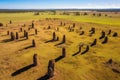 aerial view of termite mounds in a field