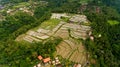 Aerial view terraces filled with water and ready for planting rice.