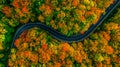 Aerial view of thick forest in autumn with road cutting through Royalty Free Stock Photo