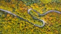 Aerial view of thick forest in autumn with road cutting through Royalty Free Stock Photo