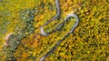 Aerial view of thick forest in autumn with road cutting through Royalty Free Stock Photo