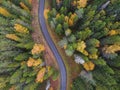 Aerial view of thick forest in autumn with road cutting through Royalty Free Stock Photo