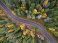 Aerial view of thick forest in autumn with road cutting through Royalty Free Stock Photo